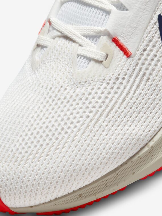 Nike Pegasus 40